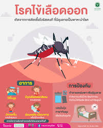 ประชาสัมพันธ์ ความรู้เกี่ยวกับไข้เลือดออก