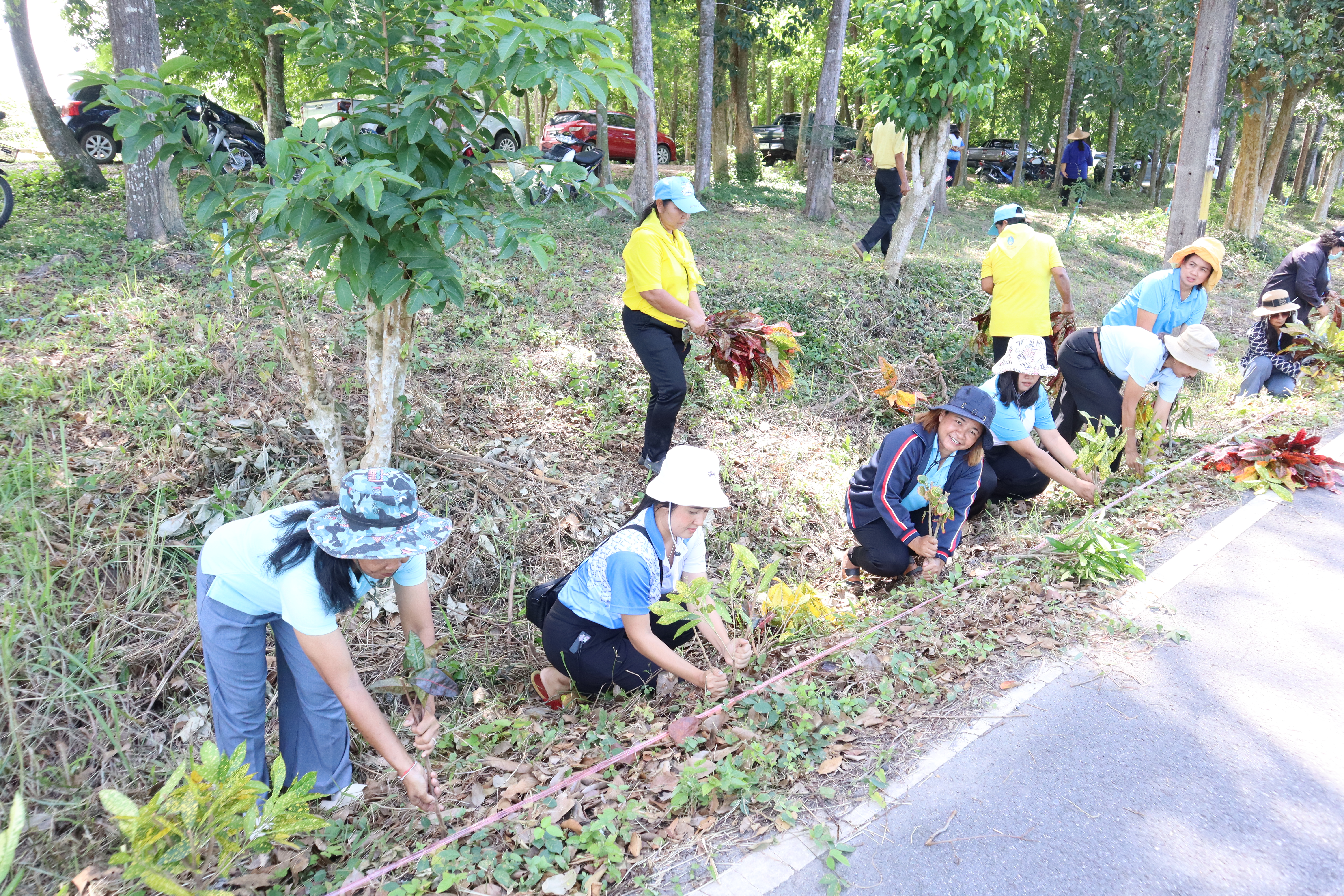 รวมภาพกิจกรรมที่เป็นมิตรกับสิ่งแวดล้อม